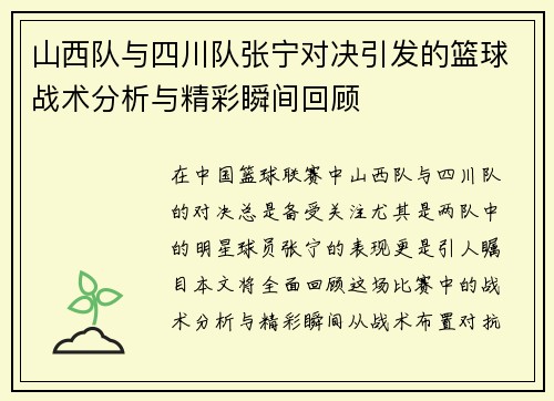 山西队与四川队张宁对决引发的篮球战术分析与精彩瞬间回顾
