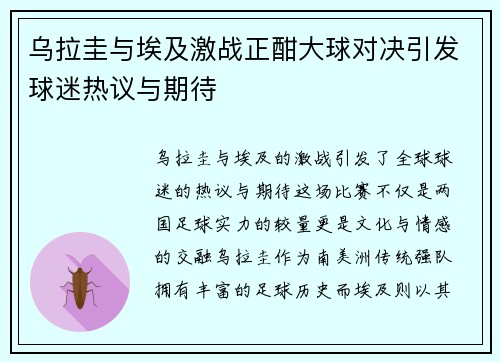 乌拉圭与埃及激战正酣大球对决引发球迷热议与期待
